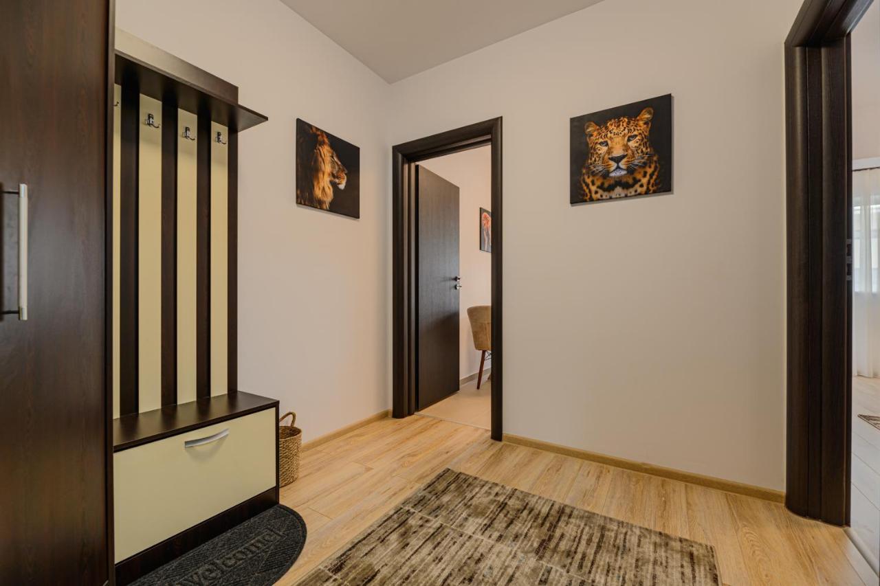 Zen Apartments Braşov Extérieur photo
